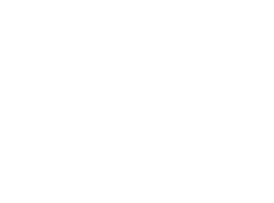The Training Scene logo white
